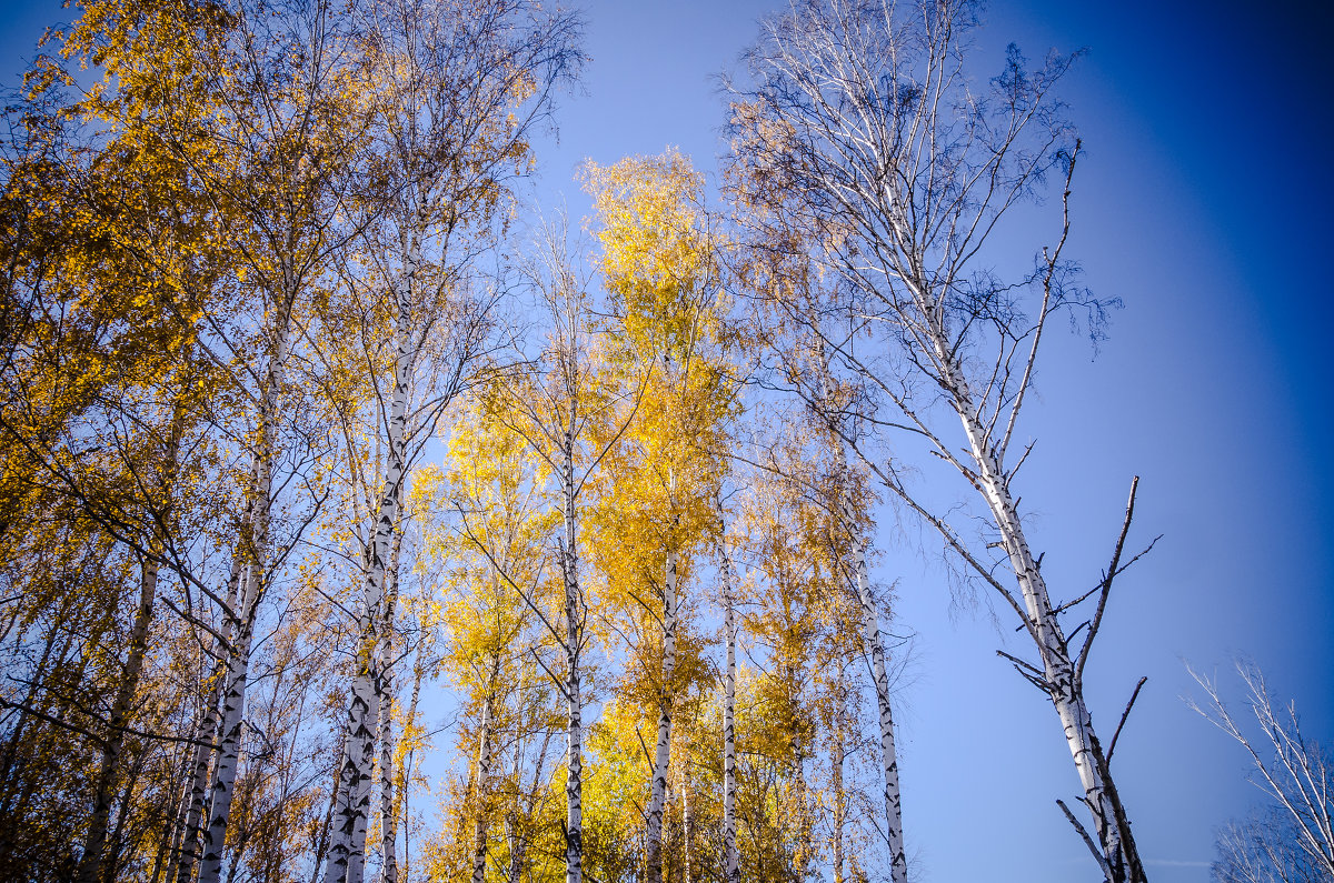Осень - Константин Смирнов