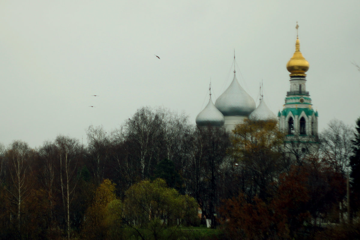 В Вологде - Алексей 