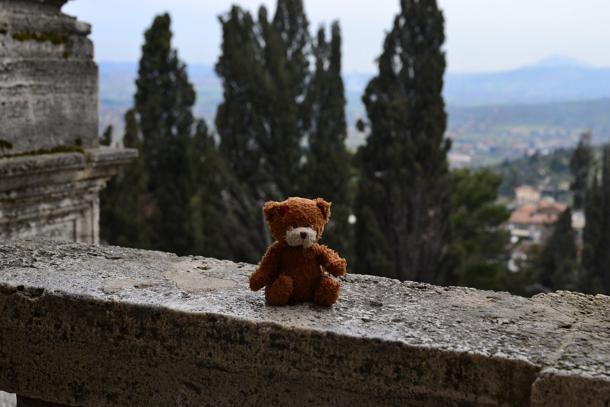 Italy, view, teddy-bear - Marina Kuznetsova