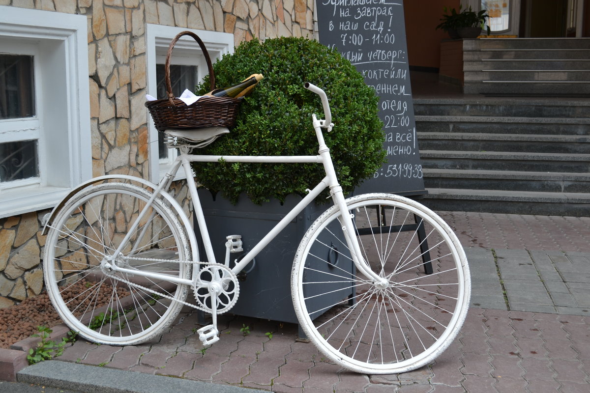 Белый велосипед - Нина Бартоломеу