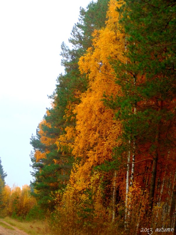 осень - Алена 