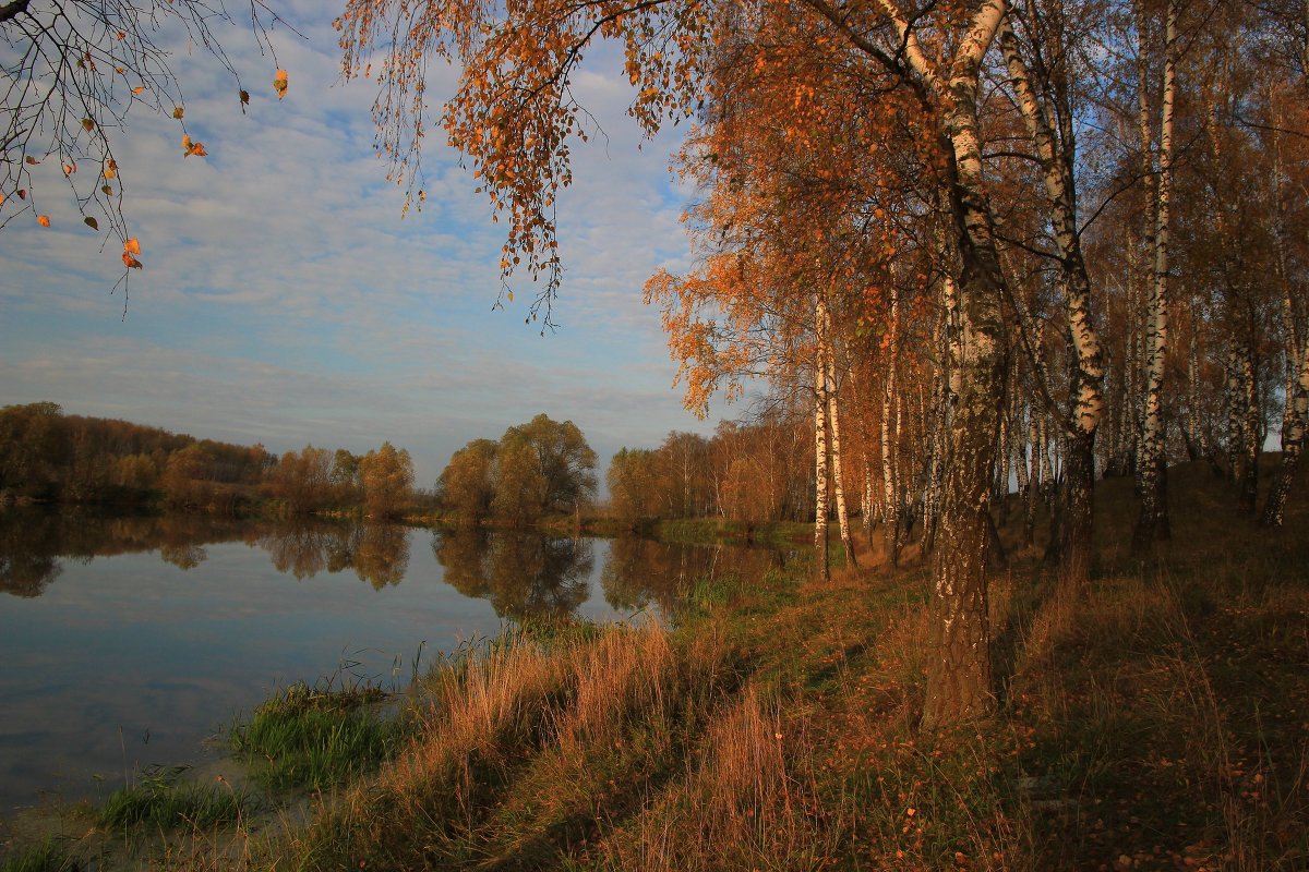 Осень - Victor Klyuchev