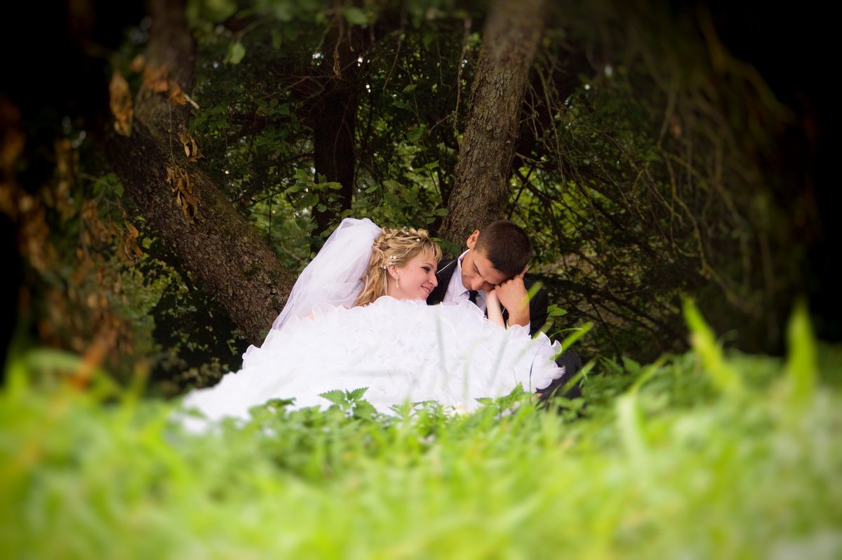 wedding - СВЕТЛАНА ЛЕБЕДЬ