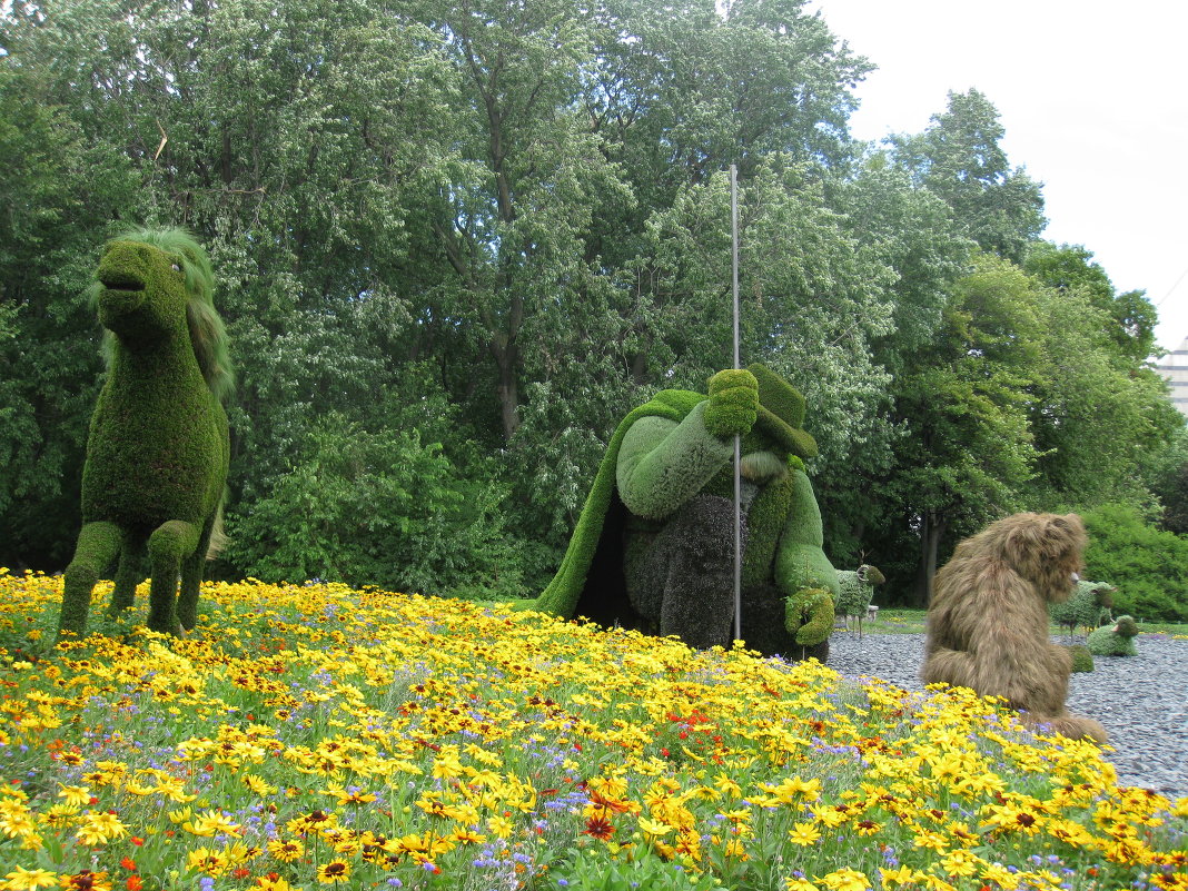 Jardin botanique - ed 