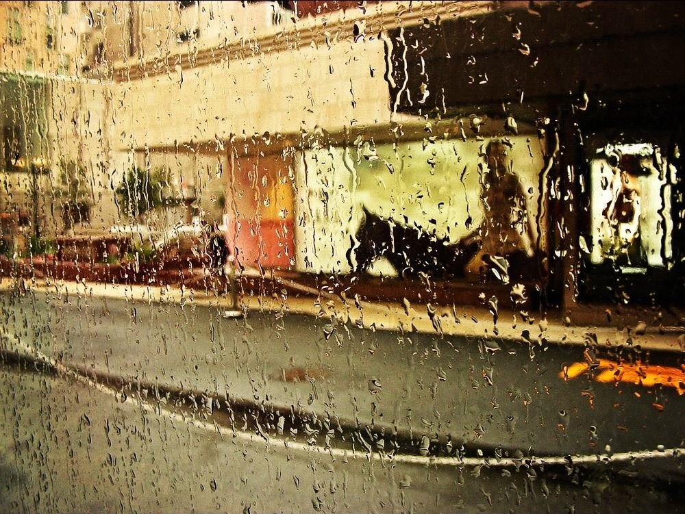 дождь в Токио - Максим Рожин