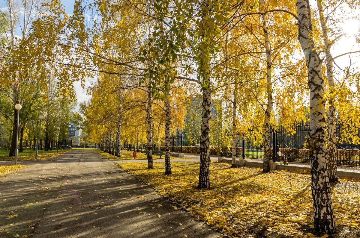 Осень в городе - Анатолий Казанцев