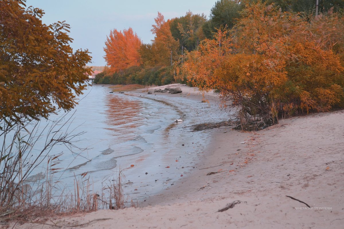 осень на реке дон - Анастасия Petrakova