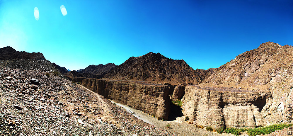 Fujairah - Elena Reykh