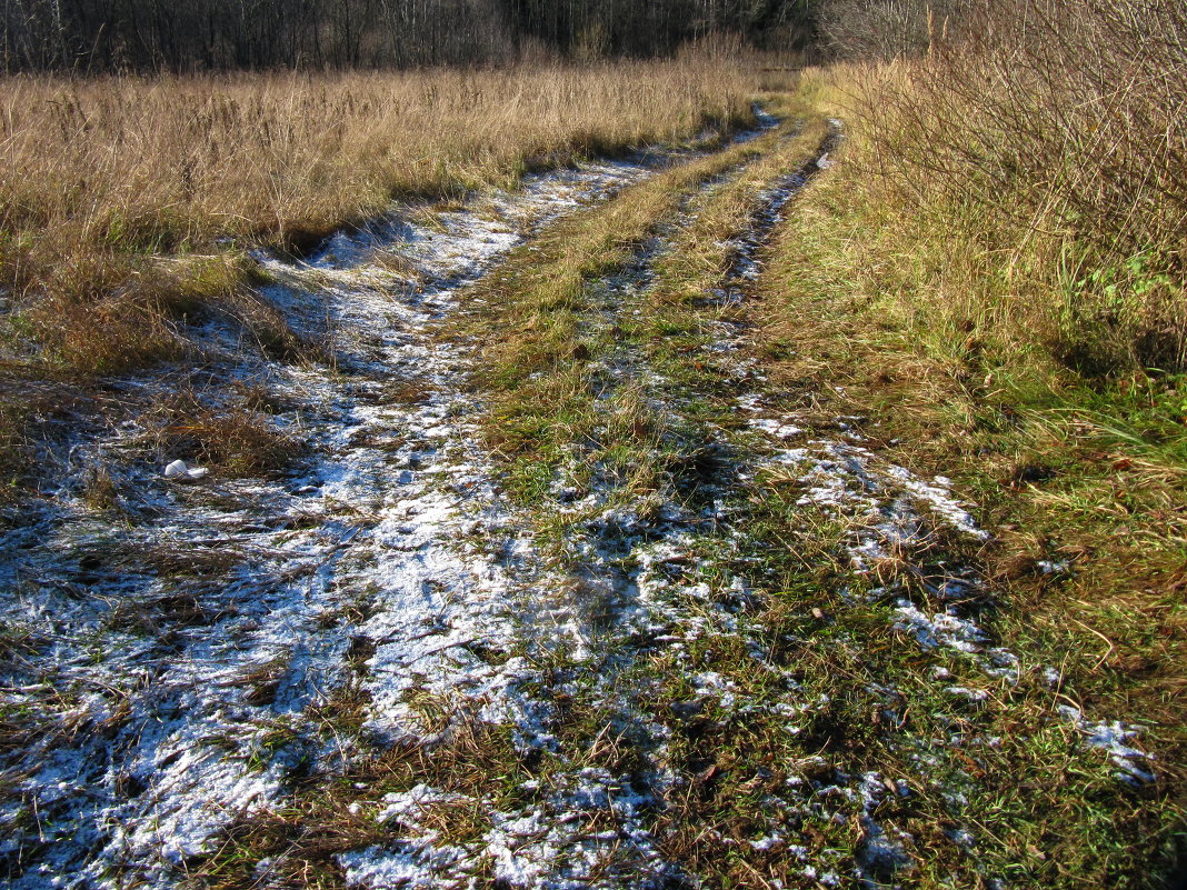 Дорога в зиму - Андрей Тихомиров