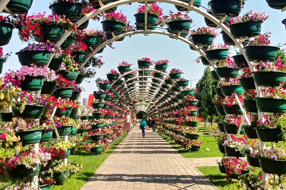 Цветочный парк - Елена (ЛенаРа)