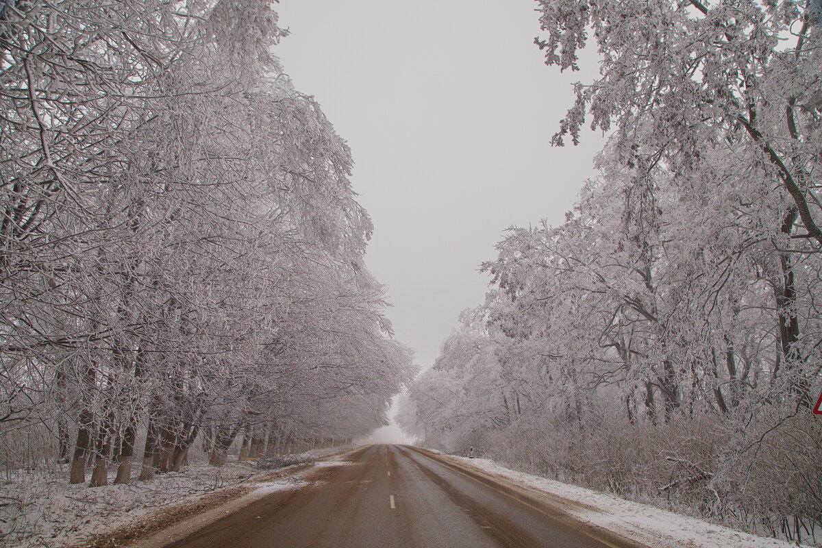 White road - M Marikfoto