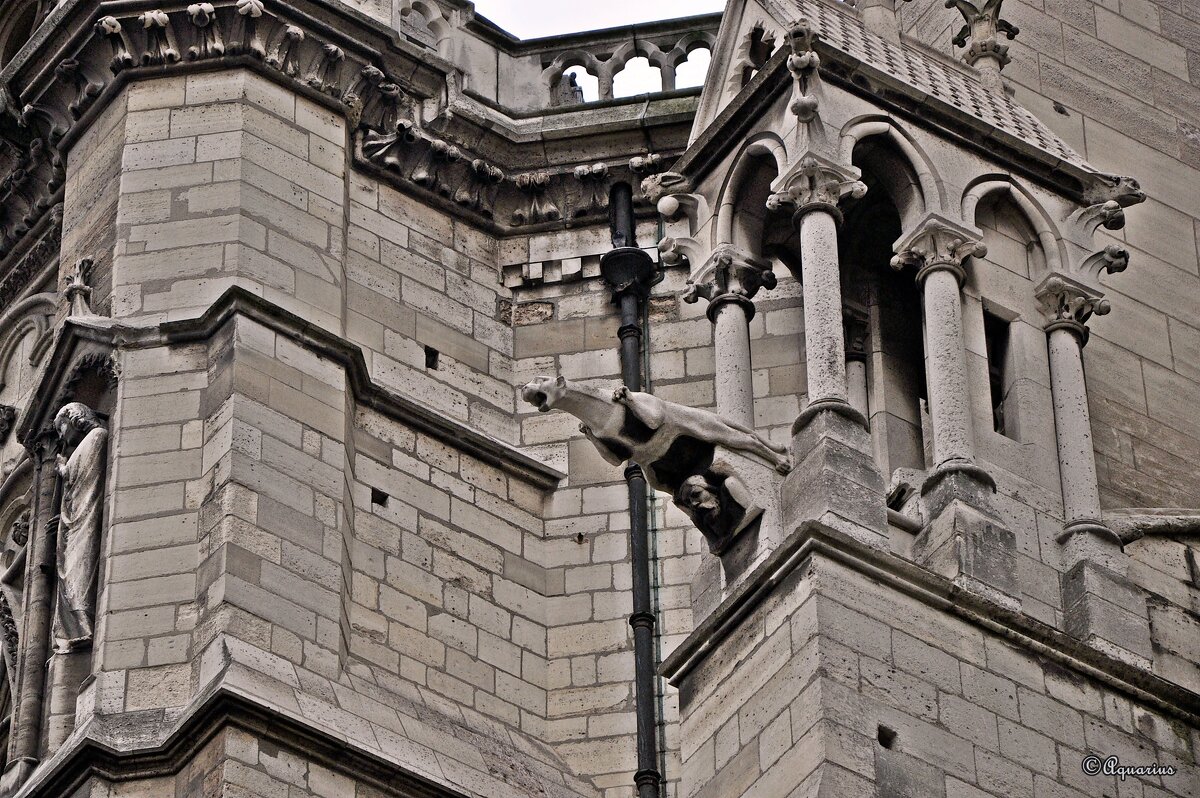 Notre Dame de Paris - Aquarius - Сергей