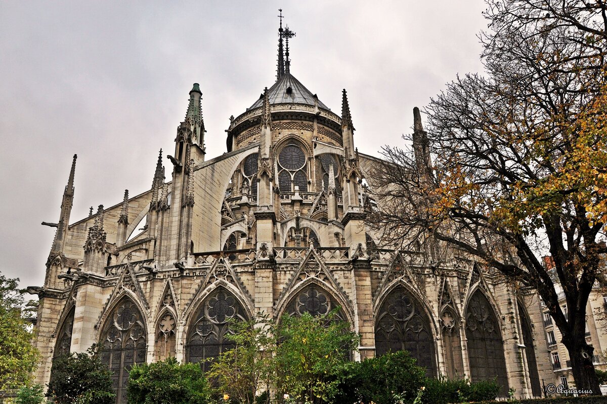 Notre Dame de Paris - Aquarius - Сергей