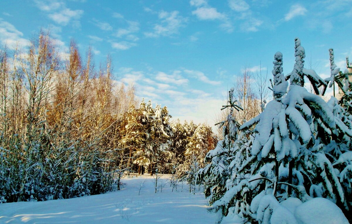 после снегопада - Владимир 