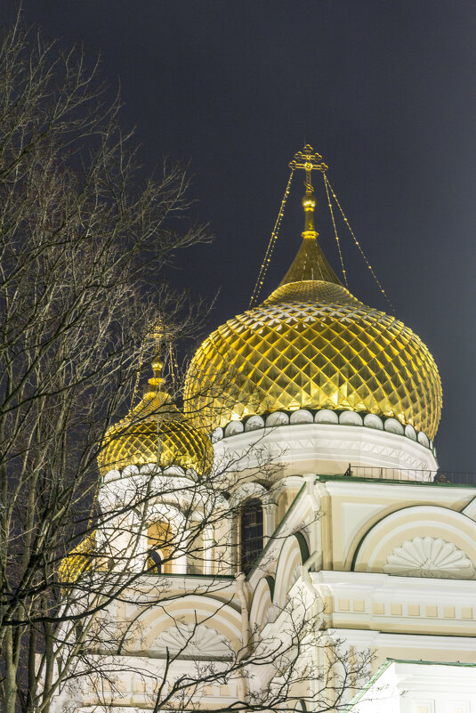 Новодевичий Монастырь в Санкт-Петербурге - Алексей Булак