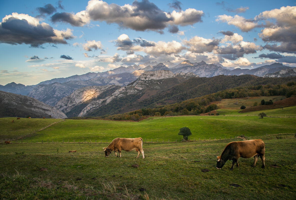 Que hacer en asturias cuando llueve