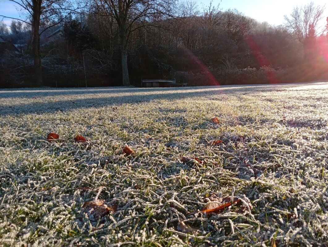 солнце и зима - Heinz Thorns