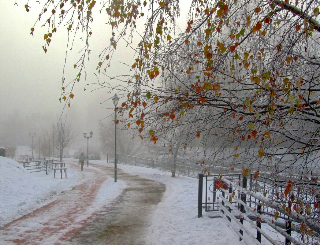 В зимнем тумане - Сергей Карачин
