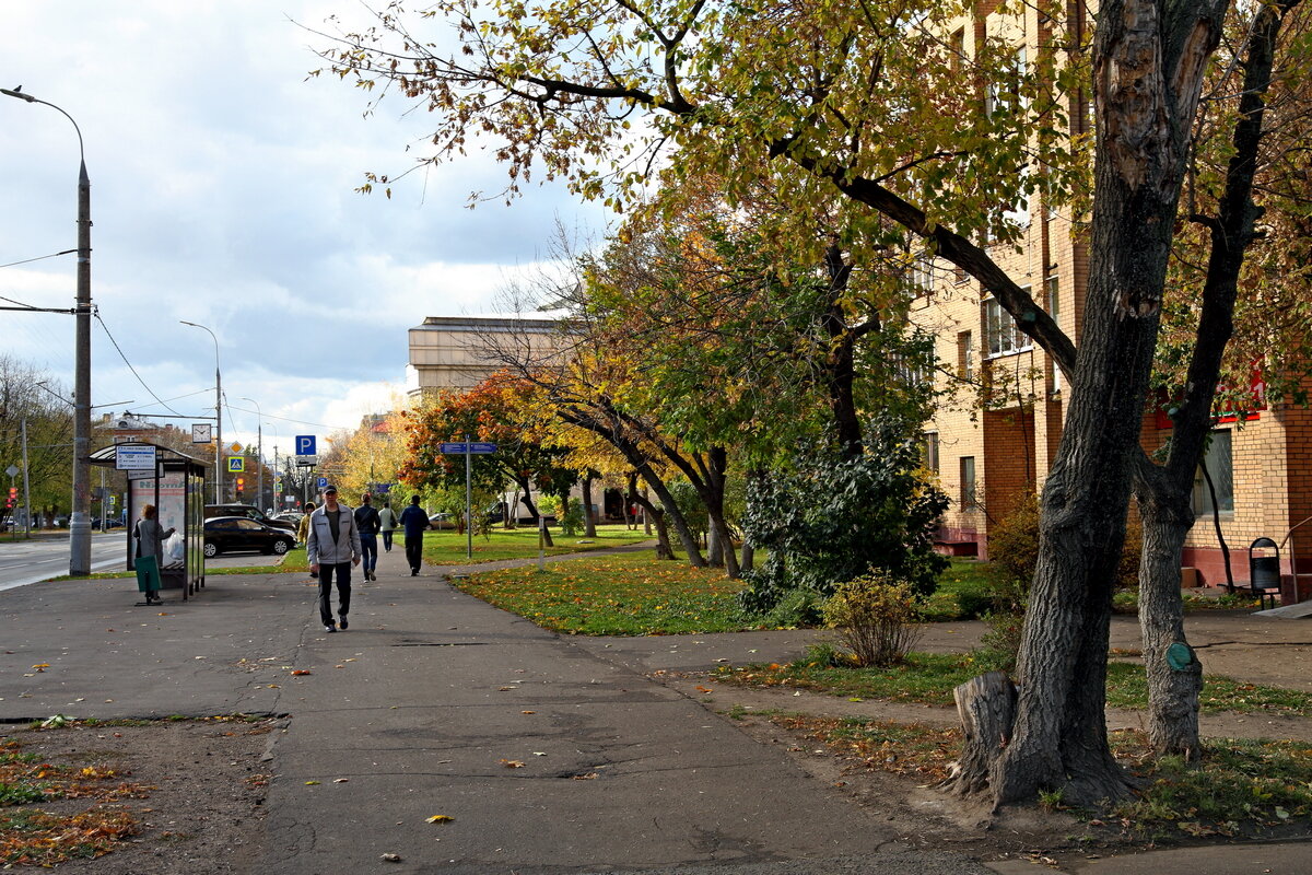 Улица Юных Ленинцев - Игорь Белоногов