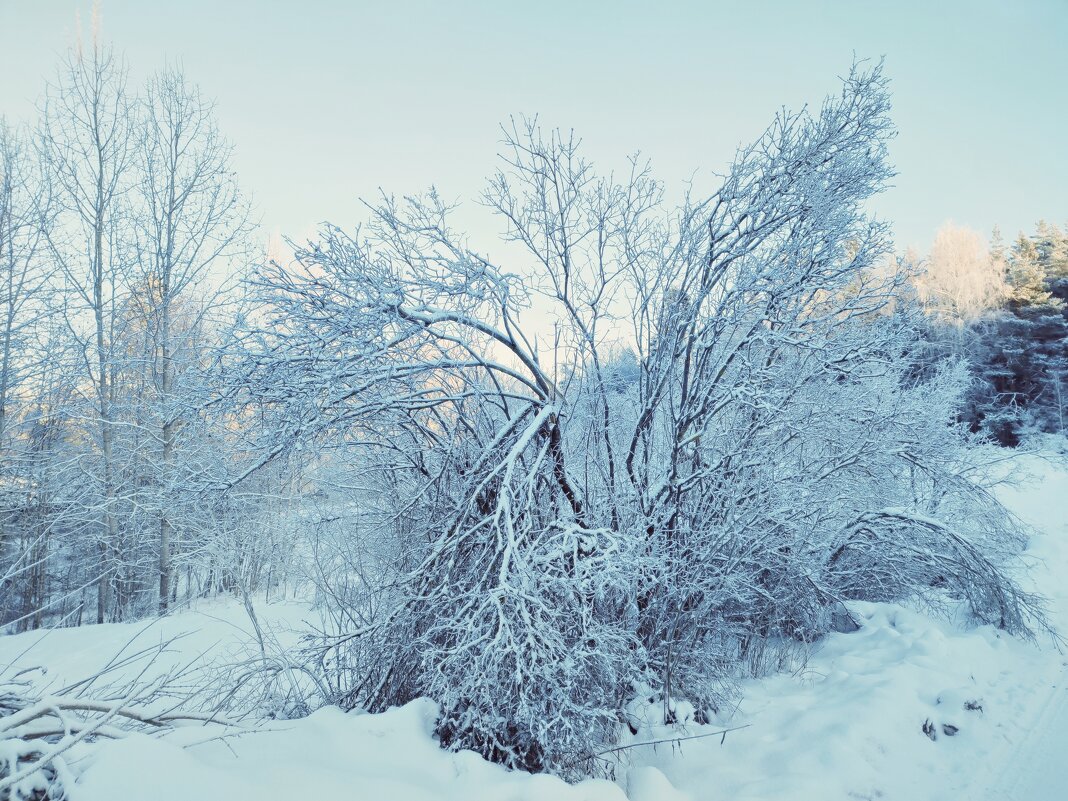 Зима в Швеции - wea *