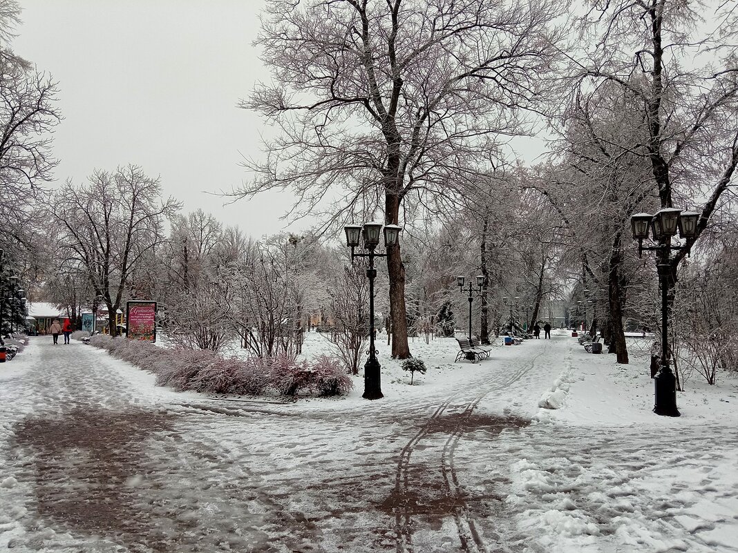 Зимний парк - Роман Савоцкий