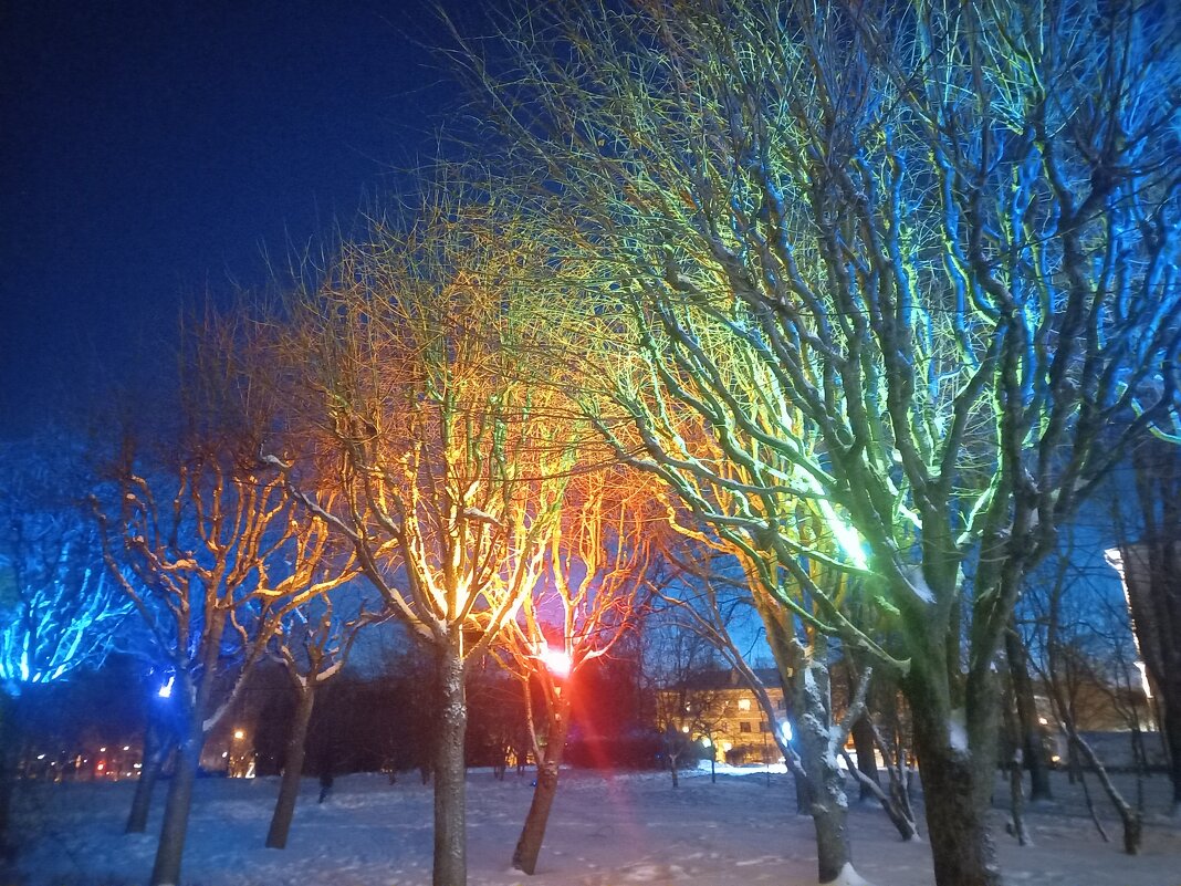 Светящиеся деревья - Сапсан 