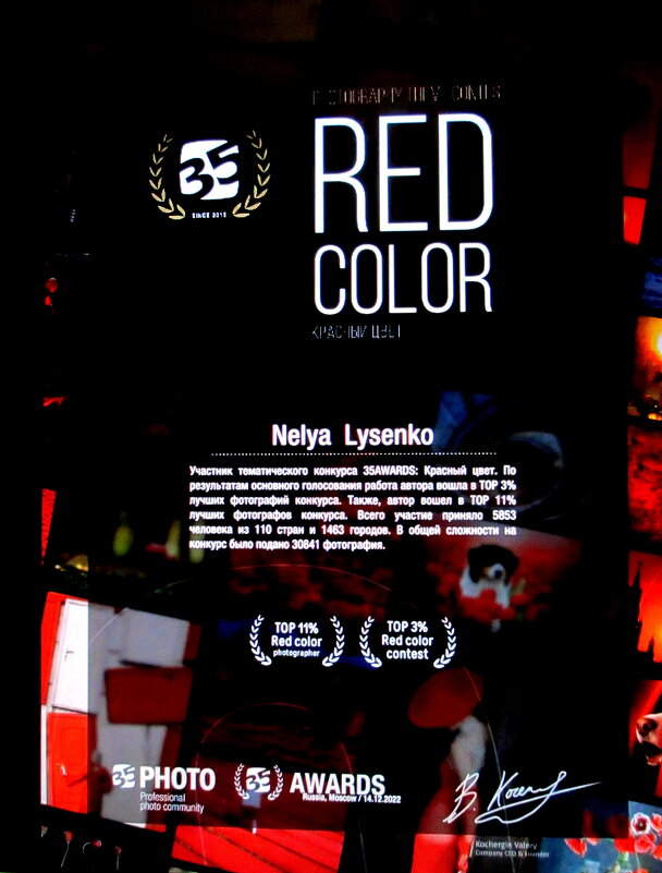 Красный цвет - Нэля Лысенко