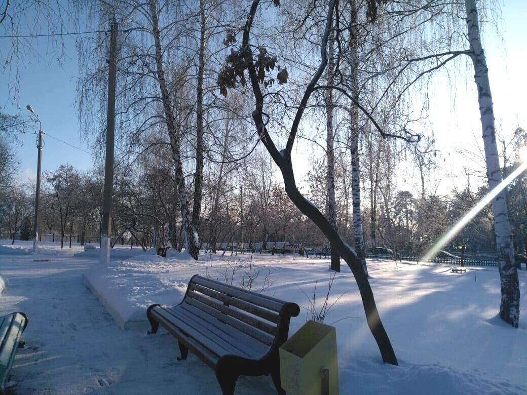 Зима в сквере города - Нина Колгатина 