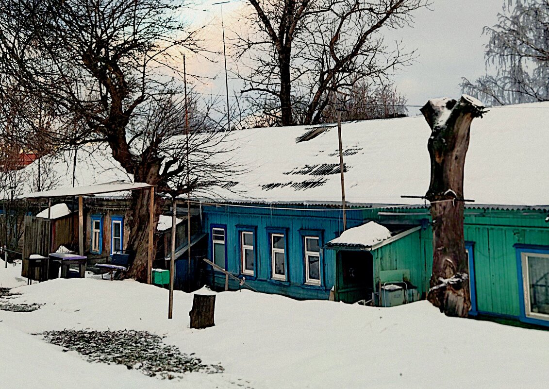 старые вётлы и старый дом.... - Любовь 