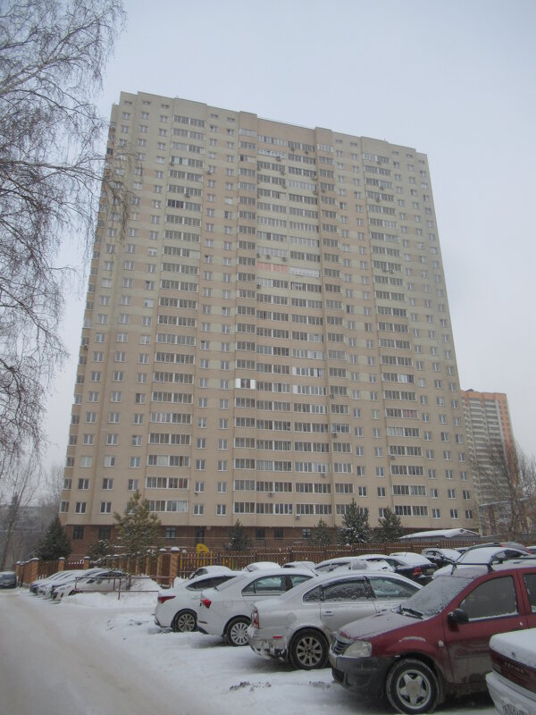 Дом в 25 этажей - Андрей Макурин