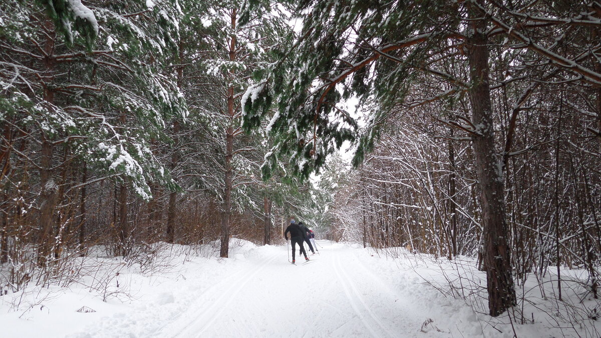 Зимой в лесу - Вик Токарев