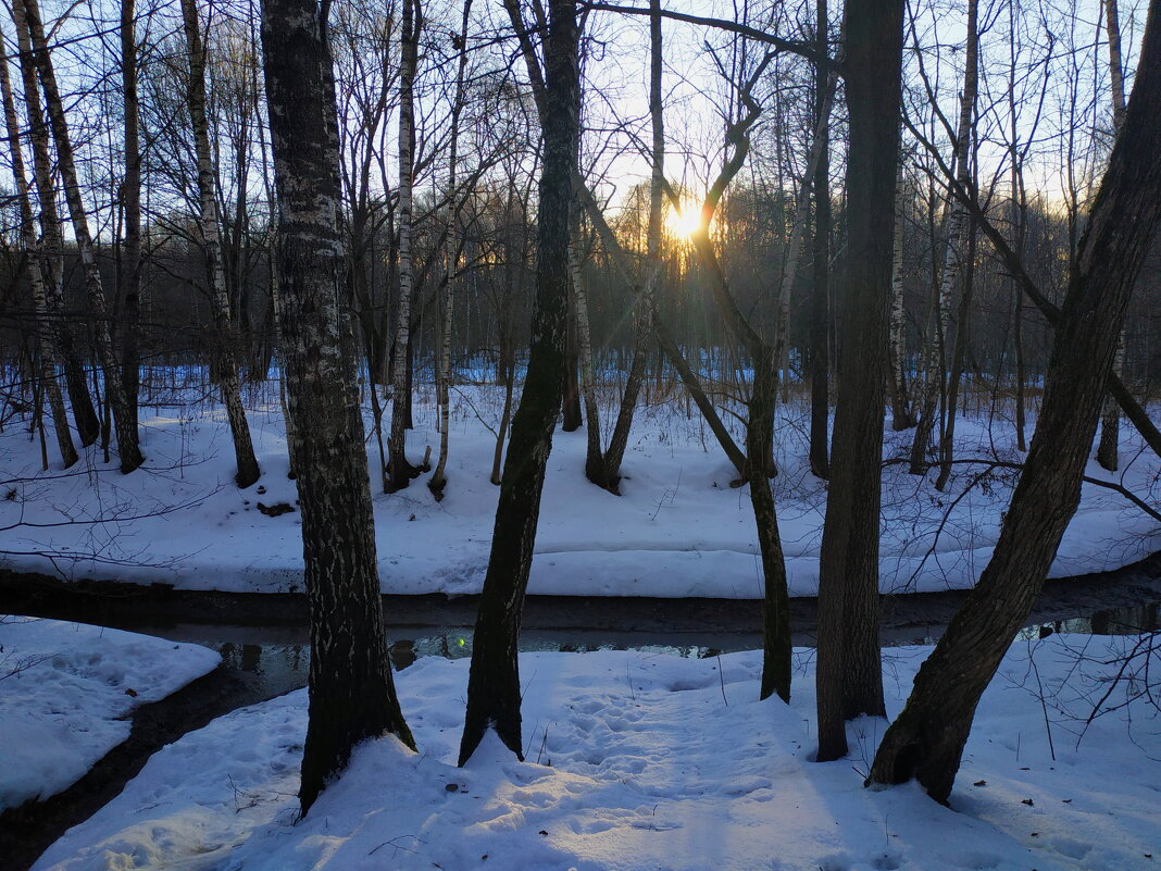 Попытка снять зимний пейзаж в январе - Андрей Лукьянов