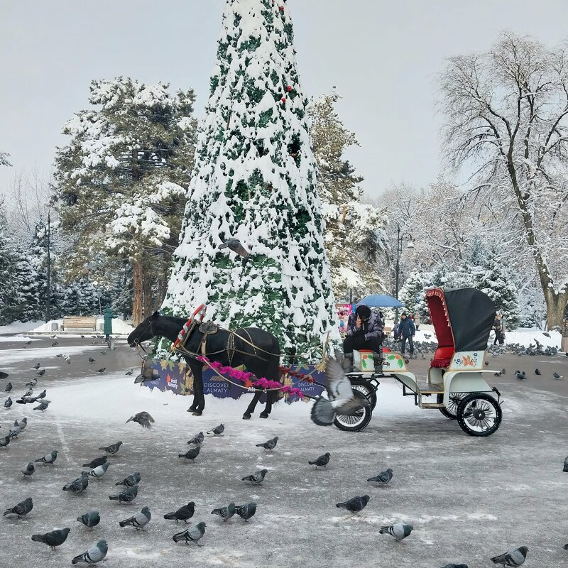 Almaty. - Murat Bukaev 
