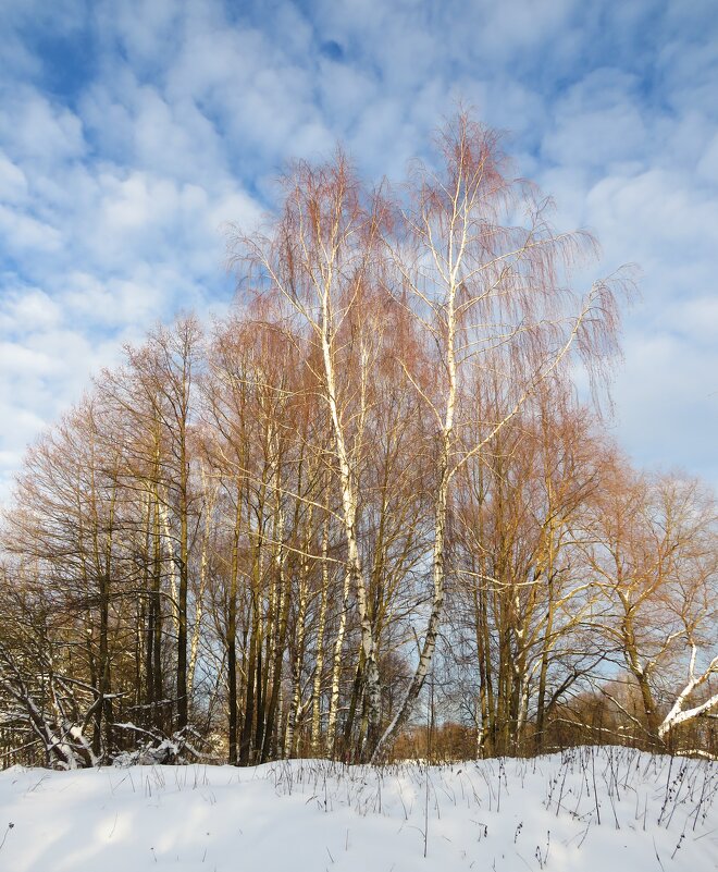 Картина зимы - Андрей Снегерёв