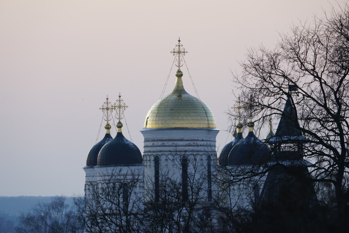 Свято-Пафнутьев Боровский монастырь - Иван Литвинов