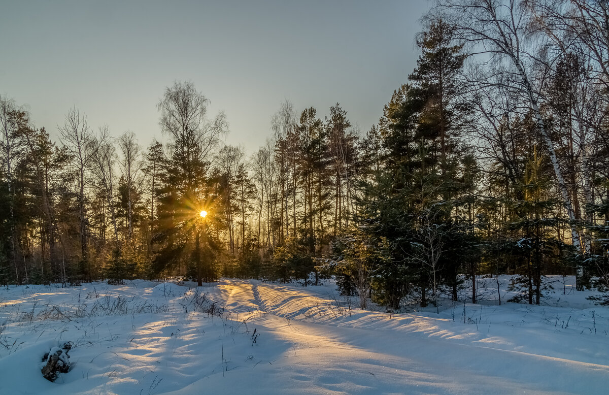Мороз и Солнце Января - Андрей Дворников