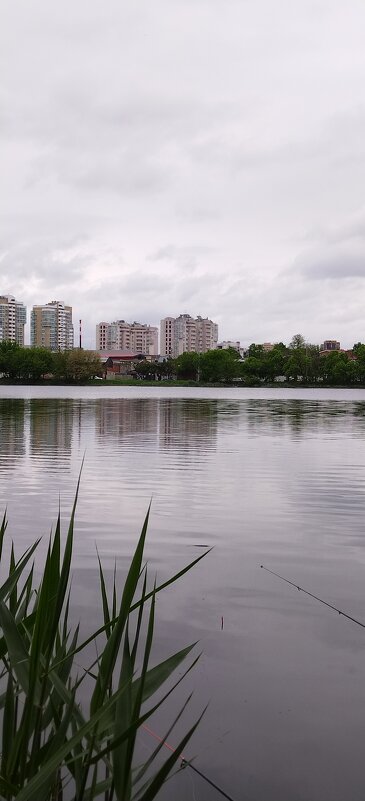 Взгляд через озеро - Ольга Протасова