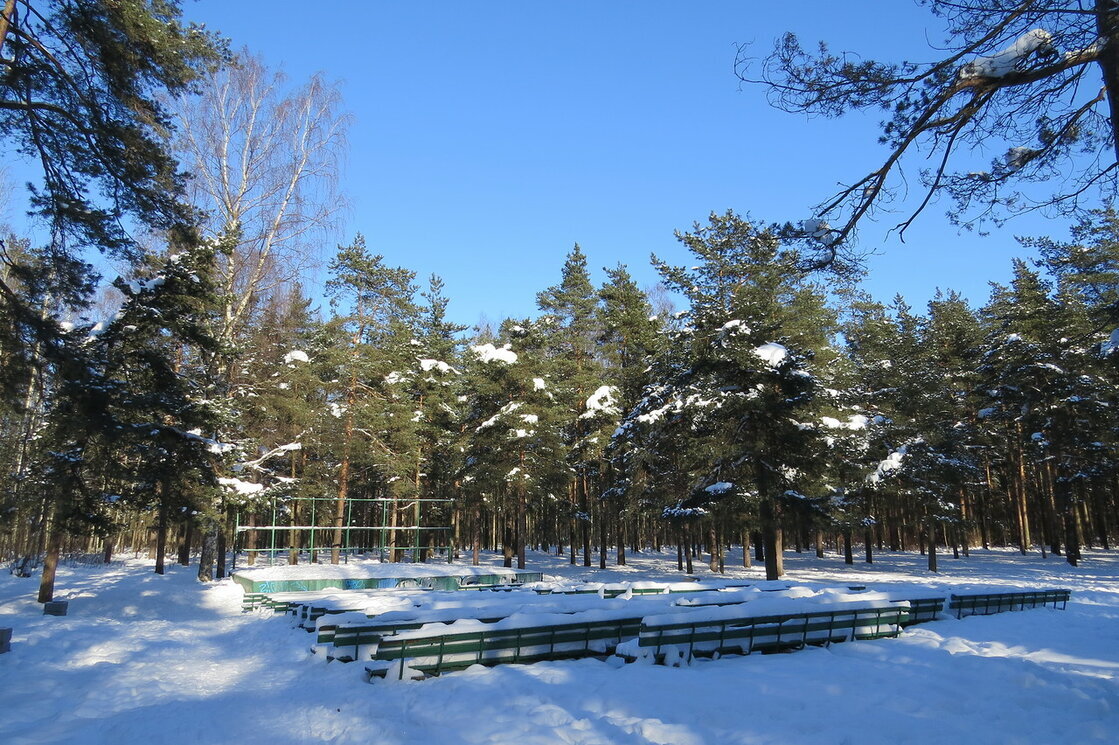 В парке зимой - Вера Щукина