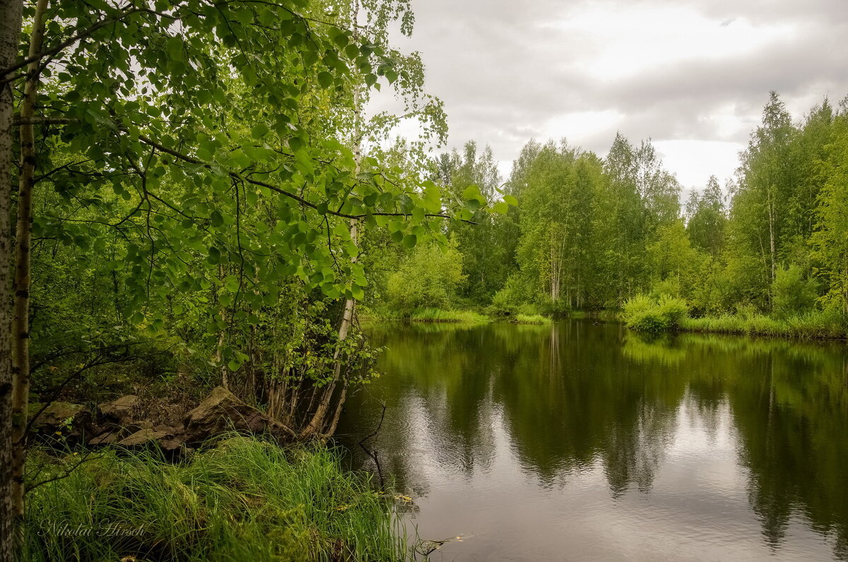 *** - Николай Гирш