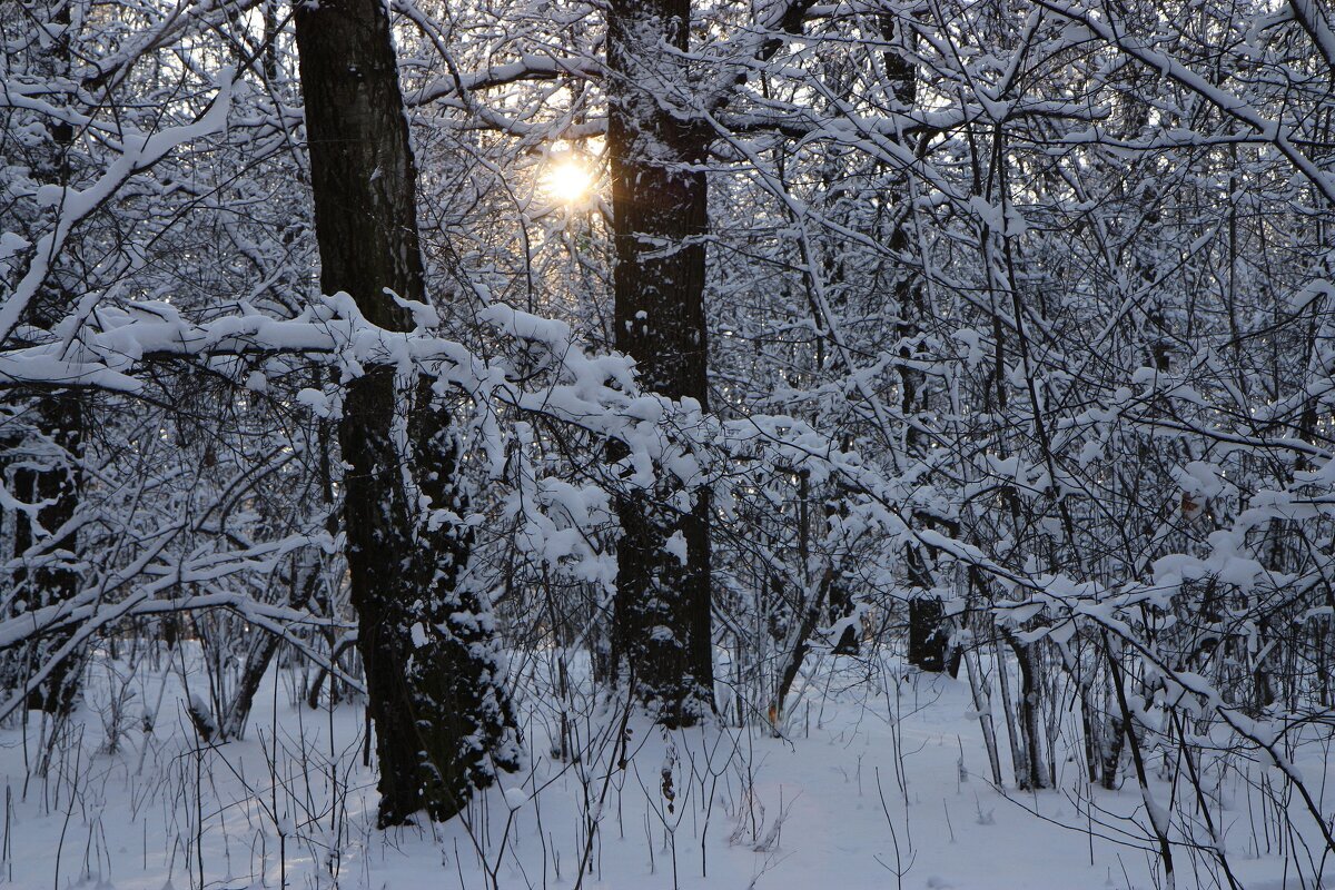 Солнце - ZNatasha -