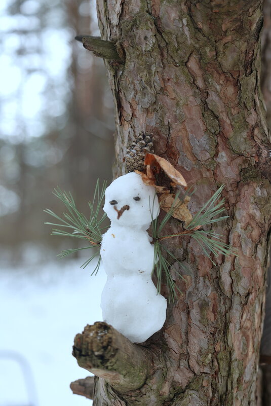 Весёлый снеговик. - Александр Кондаков