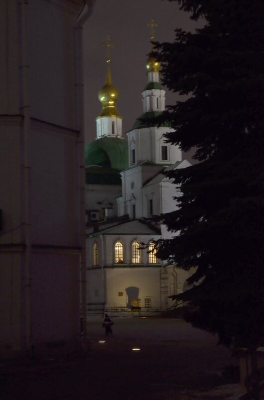 Данилов монастырь - Oleg4618 Шутченко