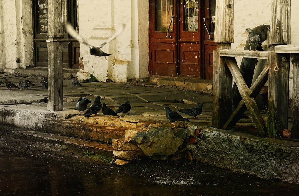 Старый город....голуби....дождь... - Сергей Клапишевский
