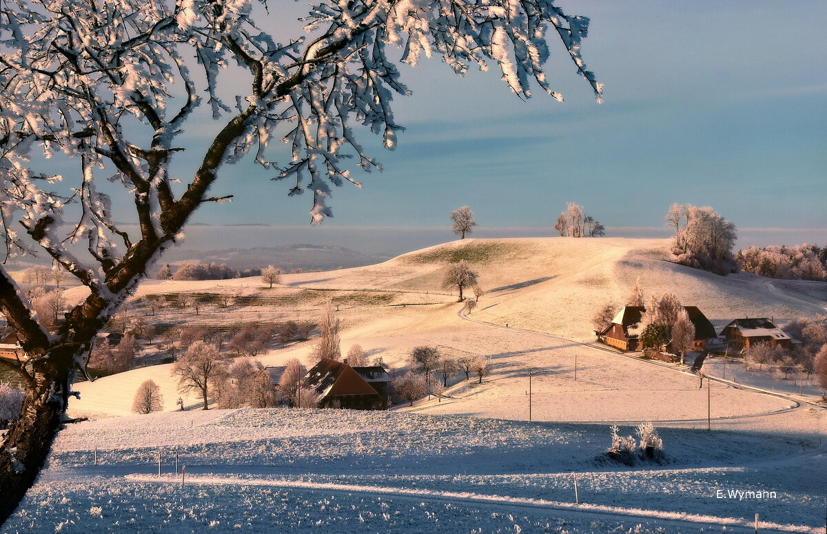 winter evening - Elena Wymann