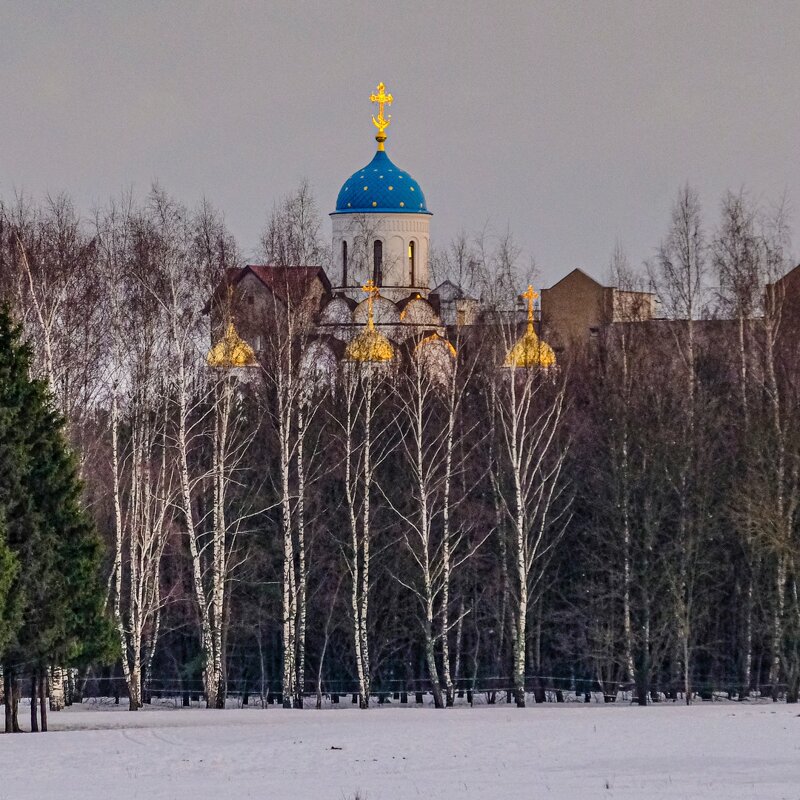 Куполы церкви - Георгий А