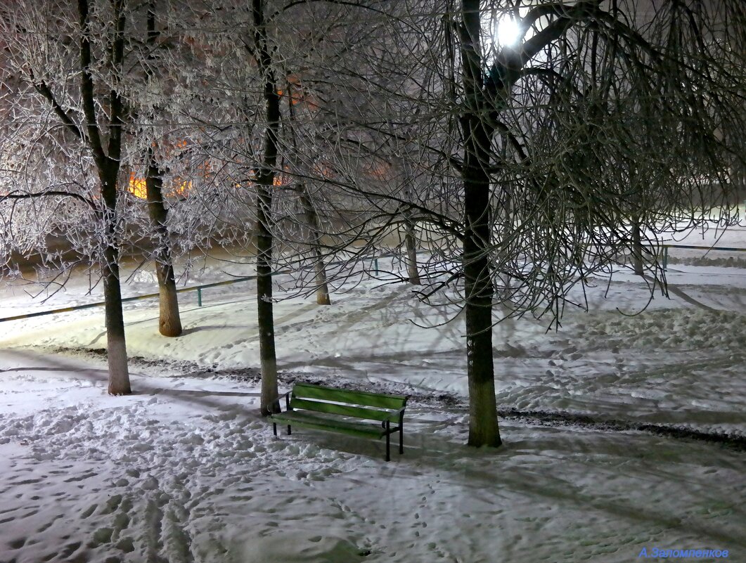 Ночь, улица, фонарь, мороз... - Андрей Заломленков (настоящий) 