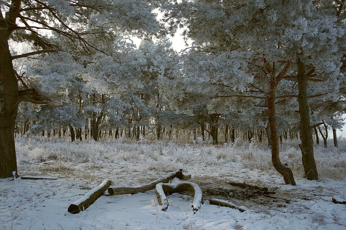 Пикник - Сеня Белгородский