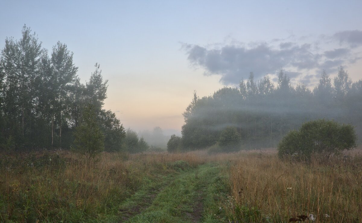 Брожу в тумане - Владимир Кузнецов