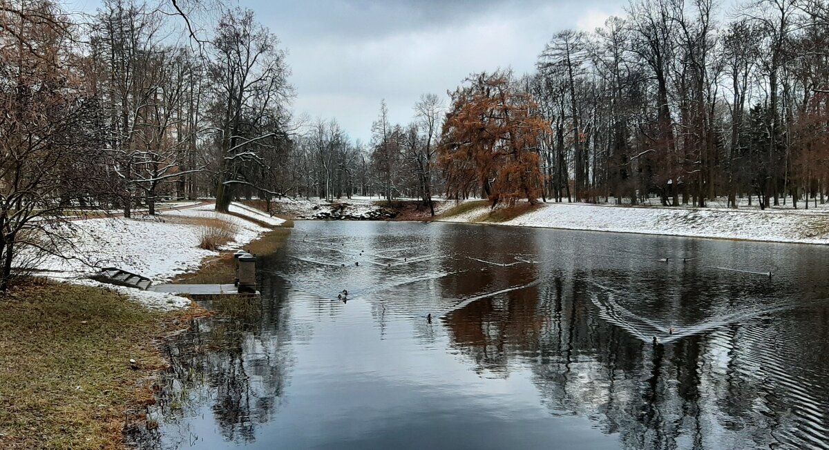 Царское Село. Екатерининский парк - Наталья Герасимова