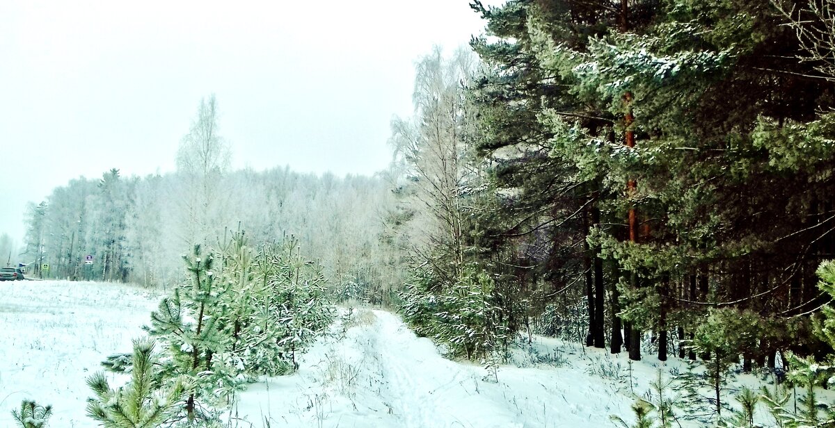 белый и пушистый снег - Владимир 